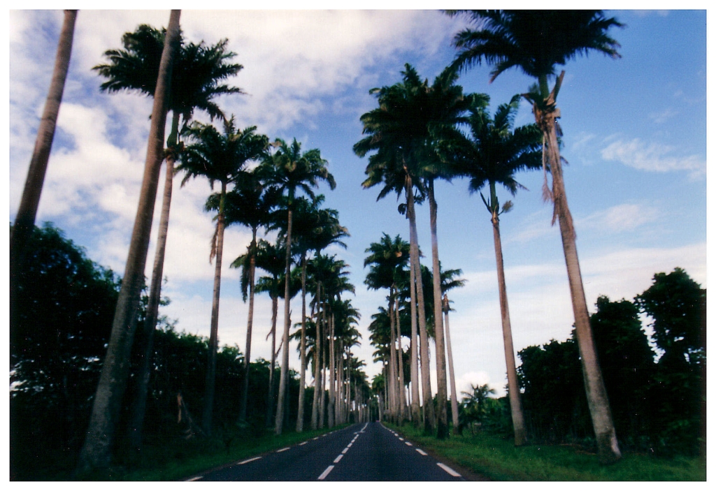 01 - Martinique (6).jpg